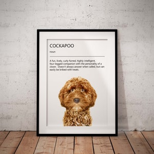 May include: A framed print with a definition of the word "Cockapoo" in black text on a white background. The definition describes a Cockapoo as a fun, lively, curly-furred, highly intelligent, four-legged companion with the personality of a clown. An illustration of a brown Cockapoo is featured below the text.