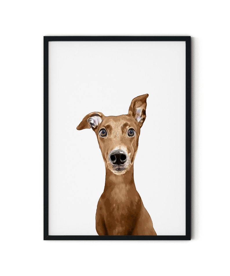 Cute, Red Fawn, Brown Greyhound, Whippet Giclée Art Print With White Background, With Custom Name/Wording image 3
