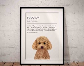Cute, Apricot Poochon Definition Art Print on a White Background, Unframed
