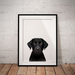 Black Labrador Giclée Art Print, Unframed