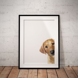 Yellow Peeking Labrador Giclée Art Print With White Background, Personalised Pet Art Print, UNFRAMED