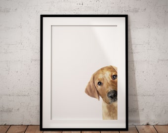 Yellow Peeking Labrador Giclée Art Print With White Background, Personalised Pet Art Print, UNFRAMED