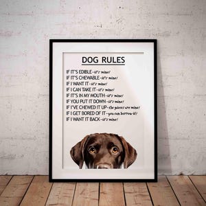 Labrador marrón chocolate 'Dog Rules', impresión artística giclée, sin marco