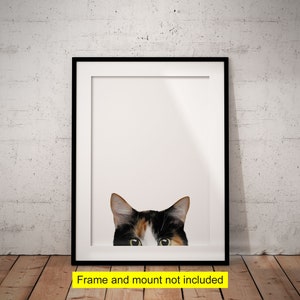 Fun Peeking Calico Cat With White Background Giclée Art Print