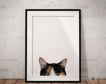 Fun Peeking Calico Cat With White Background Giclée Art Print