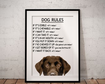 Dog Rules Chocolate Brown Labrador Giclée Art Print With White Background, Cute, Fun Labrador Art