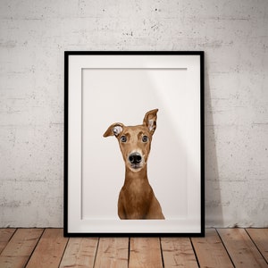 Cute, Red Fawn, Brown Greyhound, Whippet Giclée Art Print With White Background, With Custom Name/Wording image 1