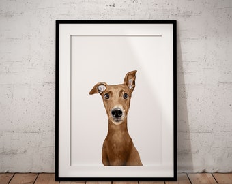 Cute, Red Fawn, Brown Greyhound, Whippet Giclée Art Print With White Background,  With Custom Name/Wording