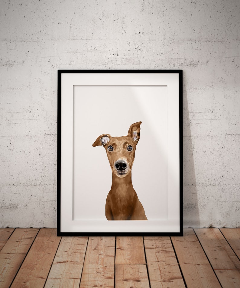 Cute, Red Fawn, Brown Greyhound, Whippet Giclée Art Print With White Background, With Custom Name/Wording image 1