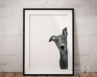 Cute, Peeking Grey Greyhound, Whippet Giclée Art Print With White Background,  With Custom Name/Wording, UNFRAMED