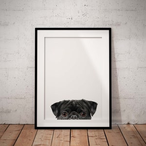 May include: A black and white framed print of a black pug dog peeking out from the bottom of the frame.