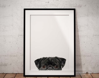 Cute, Peeking Black Pug Giclée Art Print With White Background and Optional Personalisation, Unframed
