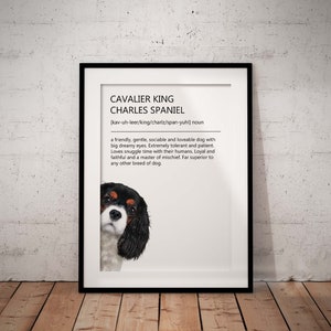 Cute, Fun Tricolour Cavalier King Charles Spaniel Definition Giclée Art Print With White Background, 2 Styles Available UNFRAMED