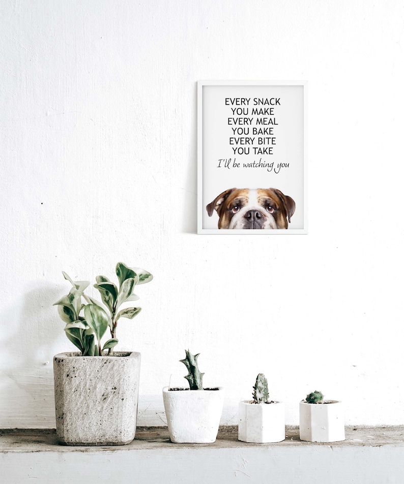May include: A white framed print with a bulldog's head peeking out from the bottom. The text reads "Every snack you make, every meal you bake, every bite you take, I'll be watching you."