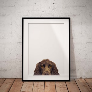 May include: A framed print of a brown dog with brown eyes peeking out from the bottom of the frame.