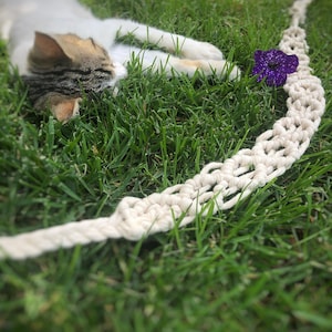 May include: A white and gray tabby cat sleeping on green grass with a white macrame rope and a purple flower.
