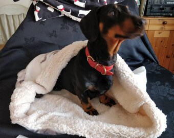 dog snuggle sack carrier