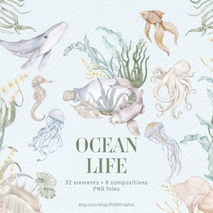 Clipart submarino, guardería, océano, verano, clipart, bajo el mar, criaturas náuticas, peces, arrecifes de coral, conchas marinas, peces, gráficos, ilustración PNG