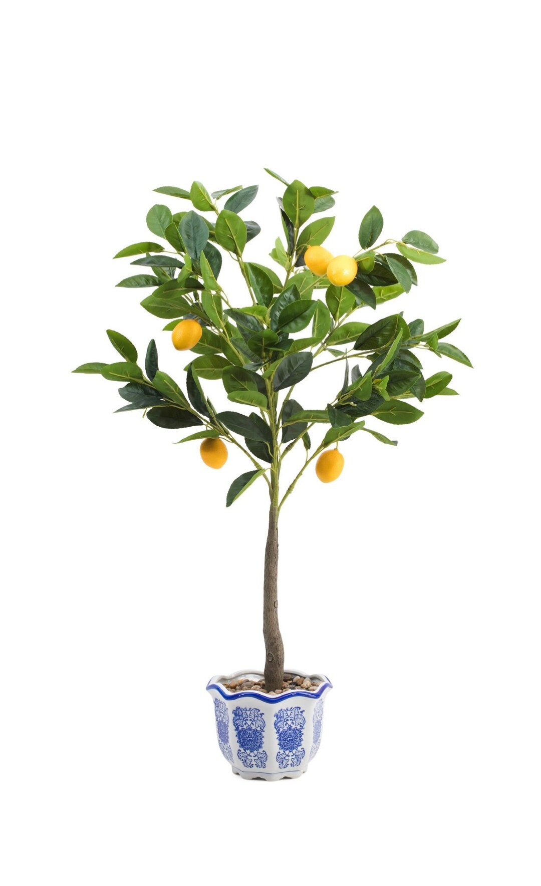 Faux Lemon Tree 32 Chinoiserie Vase/planter Blue Planter Etsy