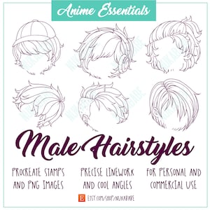 30 Procreate männliches Haar Stempel, Haarbürste Procreate, Anime Haar, Manga Haar, Chibi Haar, Frisuren Pinsel Stempel, digitale Pinsel Stempel