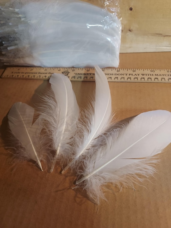 Natural Ostrich Feathers 100pcs