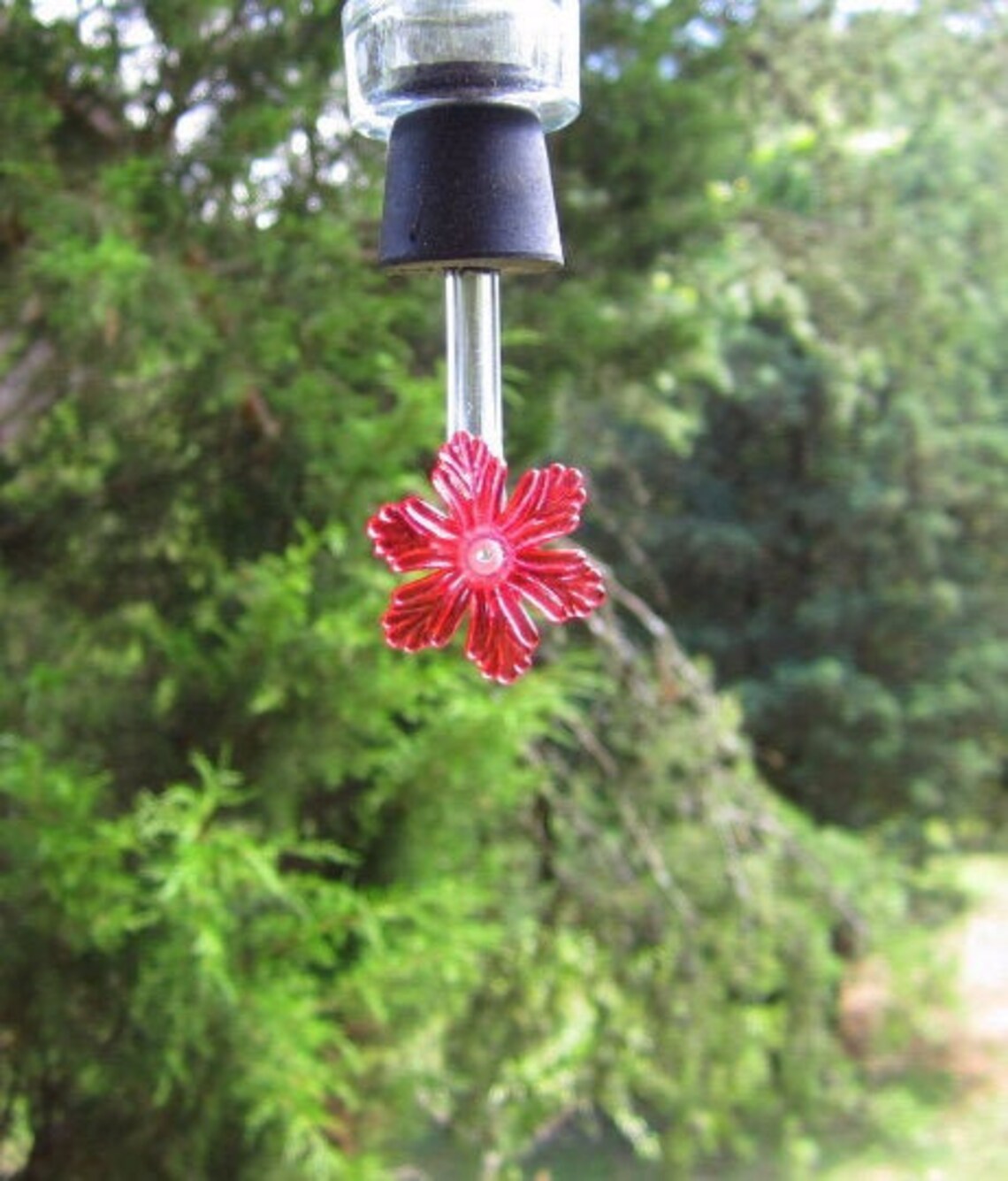 Hummingbird Feeder Tubes str8 Set of 8 Etsy