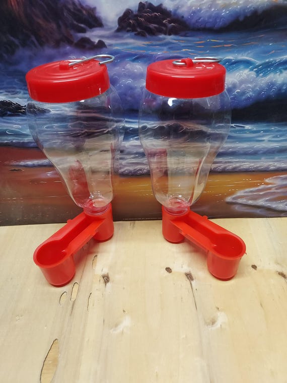 Bird water feeder (2)