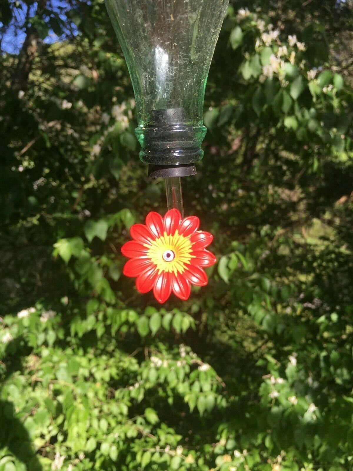 Hummingbird Feeder Tubes.set of 8 4x2....limited Edition Etsy UK