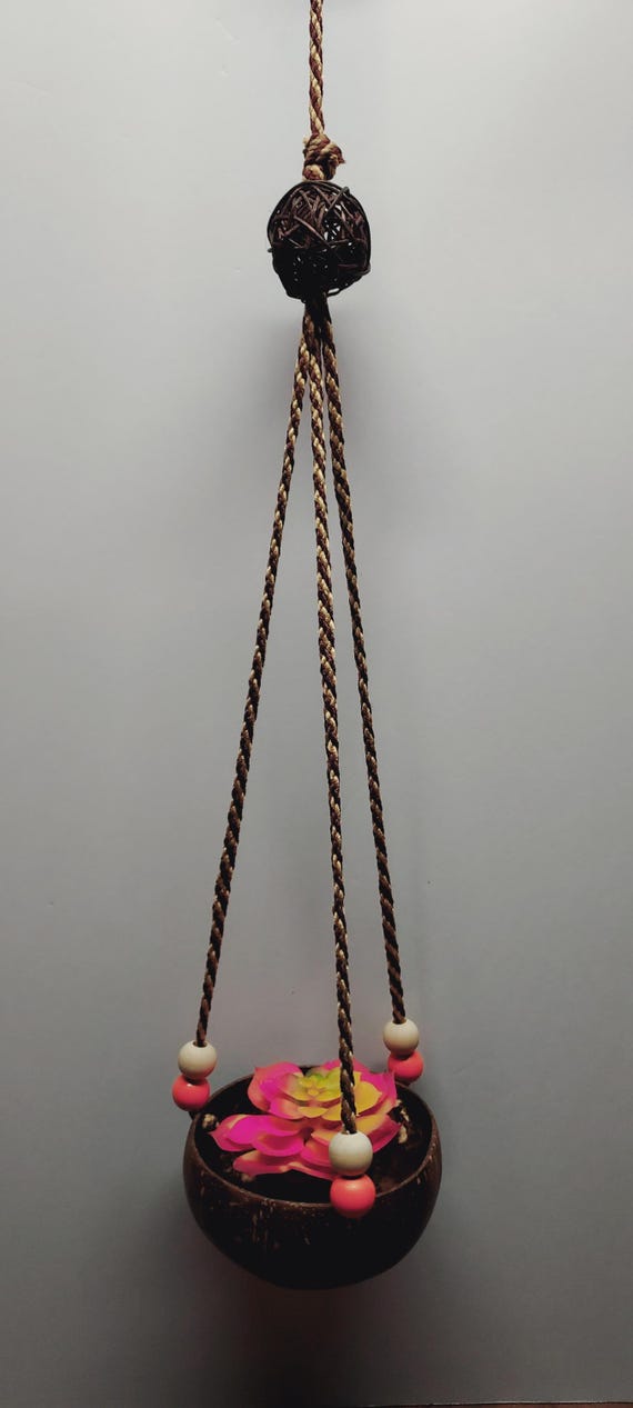 Hanging Coconut Shell Planter