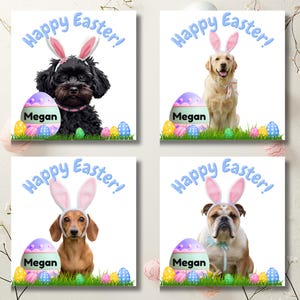 Biglietto di Pasqua - Personalizzato 6 x 6 pollici - Cagnolini - Cockapoo, Bassotto, Labrador o Bulldog britannico