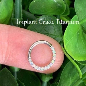 Implant Grade Titanium Front Facing White Opal Dainty 16ga Septum Ring Segment Hoop