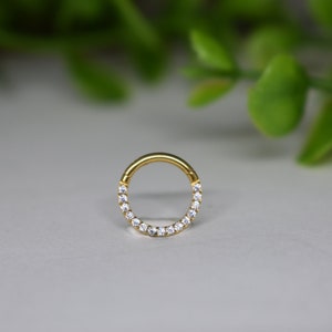 16ga 316L Acier Chirurgical Tout Blanc Pavé Cz Dainty Mignon Petit 8mm Septum Daith Anneau Hinged Clicker Hoop Gold