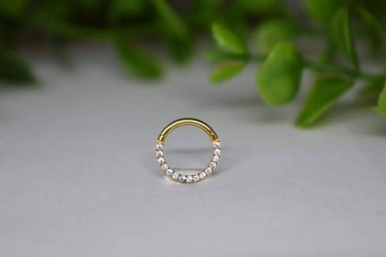 16ga 316L Acier Chirurgical Tout Blanc Pavé Cz Dainty Mignon Petit 8mm Septum Daith Anneau Hinged Clicker Hoop Gold