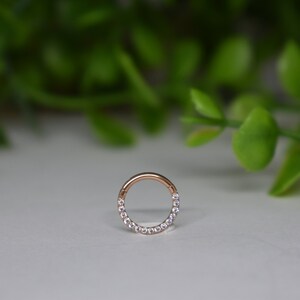 16ga 316L Acier Chirurgical Tout Blanc Pavé Cz Dainty Mignon Petit 8mm Septum Daith Anneau Hinged Clicker Hoop image 2