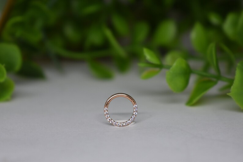 16ga 316L Acier Chirurgical Tout Blanc Pavé Cz Dainty Mignon Petit 8mm Septum Daith Anneau Hinged Clicker Hoop image 2