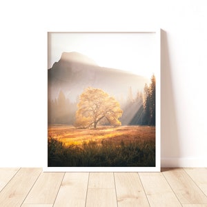 Yosemite Valley Half Dome Nature Art Print, National Park Photo, Forest Landscape Wall Art, Moody Nature Photography Print, California Art
