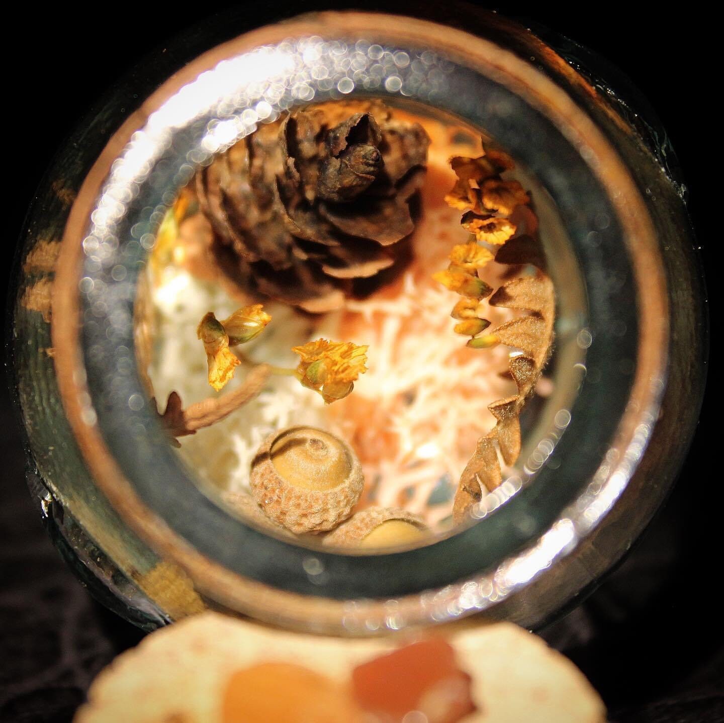 Les Pots Curieux - Promenade en Forêt