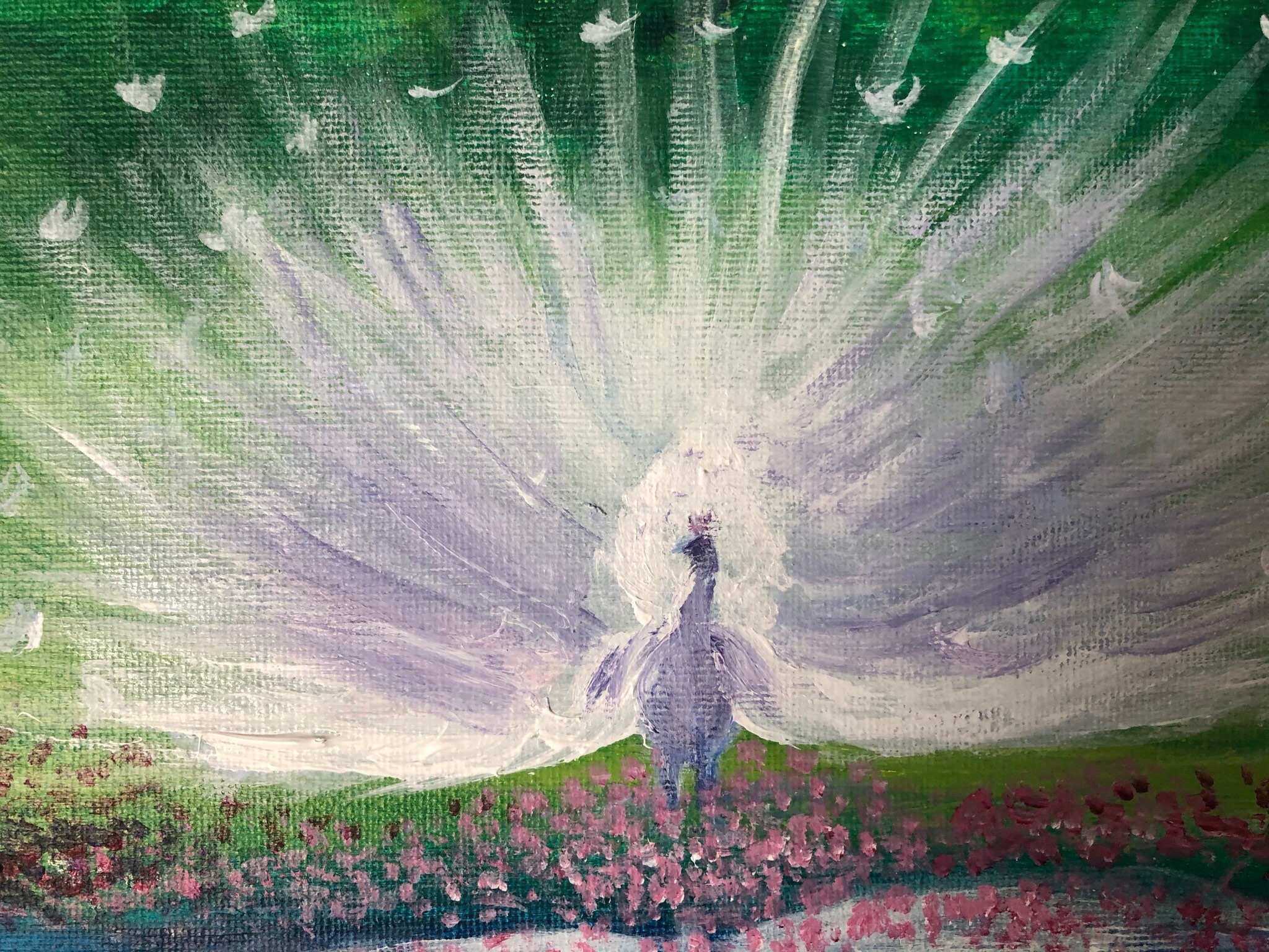 Peacock Series-13- Dancing Peacock Peacock and Water,dancing