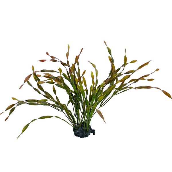 13" LARGE  High Quality Artificial Aquarium Fish Tank Plant Val soft plastic plant, weighted base, Natural, Lifelike movement