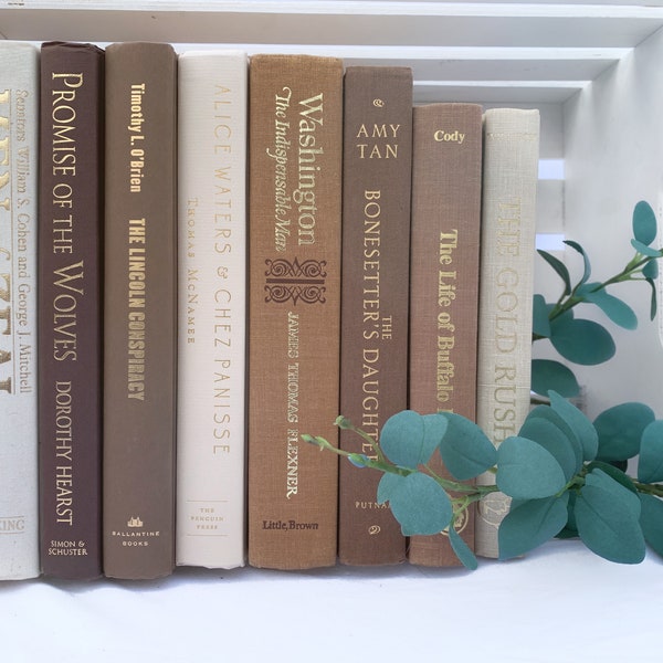 Decorative Books Stack Bundle of White, Beige, Cream, Tan, Brown, Gold Foil, Off White Neutral Books Stack books by color