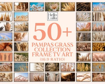 Boho Pampas Grass TV Art: Fall Decor, 50+ Designs (Digital Download)