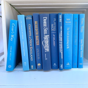 Könnte beinhalten: Ein Bücherregal mit einer Reihe blauer gebundener Bücher. Die Titel lauten "Cesar's Way", "Ghosts of New England", "Untied", "Kaleidoscope", "Playing Nice", "The Truth According to Us", "Breaking Silence" und "Nora, Nora".