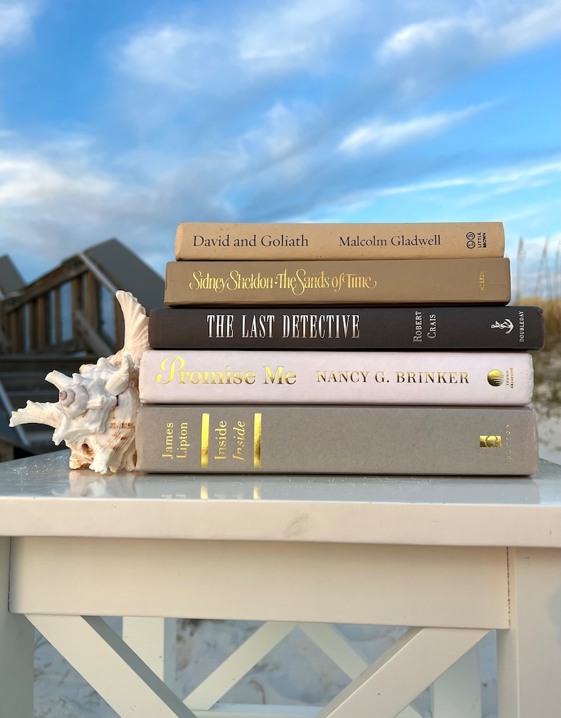 May include: A stack of five books with beige, brown, and white covers. The book titles are "David and Goliath", "Sidney Sheldon - The Sands of Time", "The Last Detective", "Promise Me", and "Inside Inside".