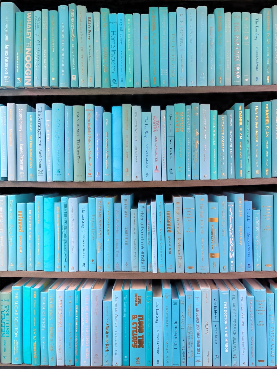 Decorative Books by Color Coffee Table Books Modern Home Decor Book by the Foot Lightly Used