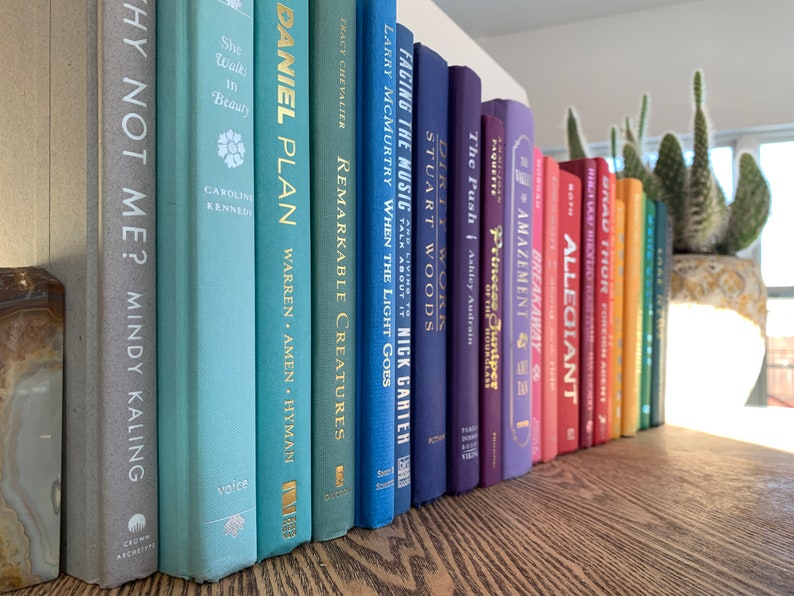 May include: A bookshelf with a rainbow of books, including titles like "Daniel Plan", "Remarkable Creatures", "When the Light Goes", "Facing the Music", "The Push", "Amazement", "Allegiant", and "Four".