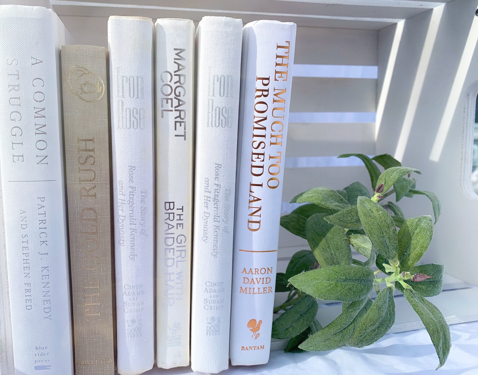 Decorative Books Stack Bundle of White Beige Cream Tan Etsy