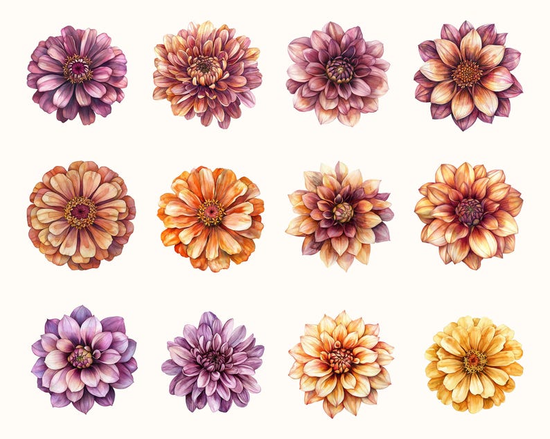 May include: Watercolor illustration of twelve colorful dahlia flowers. The flowers are in shades of purple, orange, and yellow, with detailed petals and dark centers. The flowers are arranged on a white background.