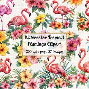 Watercolor Tropical Flamingo Clipart, Commercial use