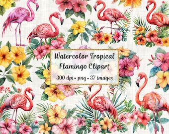Watercolor Tropical Flamingo Clipart, Commercial use