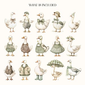 May include: Watercolor illustration featuring a collection of geese, each uniquely dressed in charming outfits. The geese are adorned with bow ties, hats, aprons, and even an umbrella, all in soft, muted colors. The text "WHAT IS INCLUDED" is at the top.